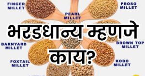 Read more about the article भरडधान्ये मागणी का वाढत आहे व म्हणजे काय?Millets
